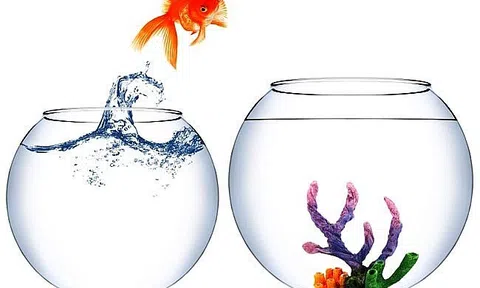 Mình hài lòng, mình vui vẻ mới là quan trọng nhất