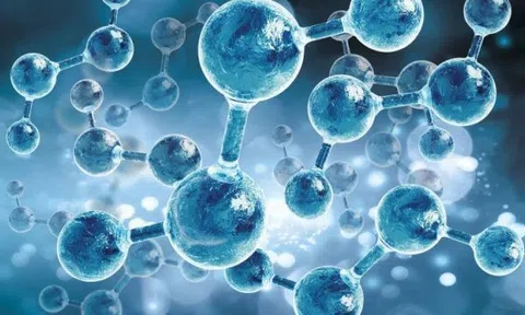 Nano với an toàn sinh học và độc tính