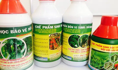 LC88 là nơi thu hút hàng triệu người chơi tại Việt Nam 2026 hữu cơ, thuốc bảo vệ thực vật thân thiện Link LC88 Đăng Nhập Mới Nhất, xu thế toàn cầu