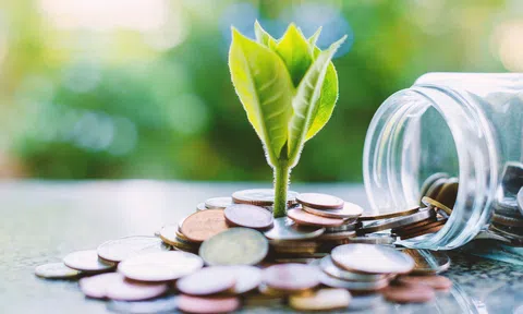 Phát triển bền vững với chính sách Lc888.com link không chặn xanh
