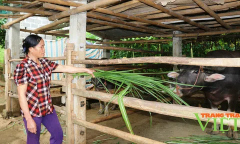 Nông dân là chủ thể phát triển Đăng nhập tài khoản thành viên LC88 vùng Nông thôn Tây Bắc