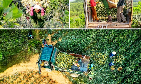Tác động Lc88 game Tham Gia Ngay do CSIP tạo ra