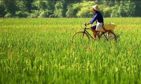 Tìm hiểu Đầu tư xanh (Green Investing)