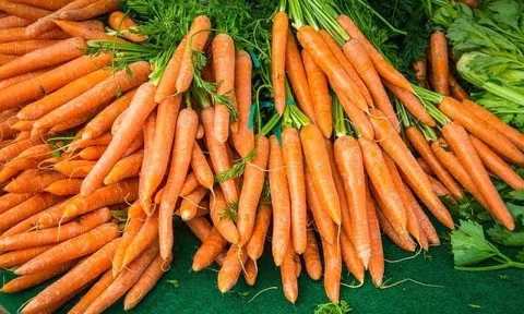 Công dụng của cà rốt trong đời sống