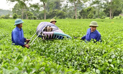 Tuyên Quang: Xây dựng lực lượng Lc888 Thể Thao Link Mới nông thôn có kiến thức, tay nghề cao