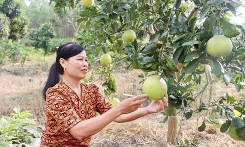 Vĩnh Phúc: Tạo sự chuyển biến tích cực trong nhận thức và hành động giúp phụ nữ phát triển Đăng nhập tài khoản thành viên LC88