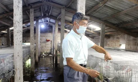 Nam Định: Thiết thực chăm lo đời sống hội viên nông dân