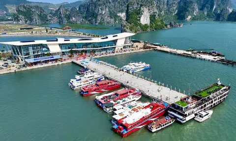 Quảng Ninh: Phát triển Đăng nhập tài khoản thành viên LC88 biển bền vững