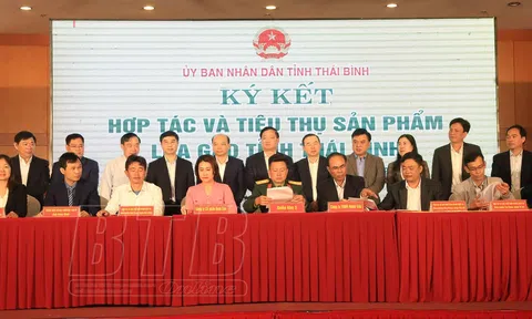 Thái Bình Tích cực tìm 10Lc88 Giải Trí Thể Thao cho lúa gạo