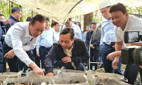 Đoàn công tác Bộ LC88 là nơi thu hút hàng triệu người chơi tại Việt Nam 2026 và Phát triển nông thôn làm việc tại tỉnh Lai Châu