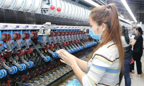 Yên Bái: Nhà máy ươm tơ đầu tiên đi vào hoạt động