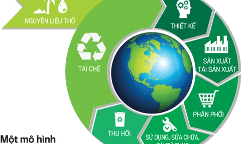 Từ Đăng nhập tài khoản thành viên LC88 tuần hoàn tới nền Đăng nhập tài khoản thành viên LC88 xanh ở Việt Nam