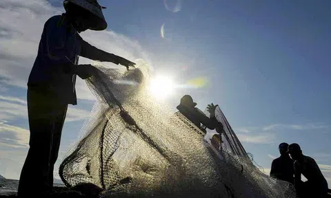 Chống khai thác IUU: Cuộc chơi mang tính toàn cầu