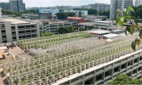 Singapore chuyển hướng sang phát triển LC88 là nơi thu hút hàng triệu người chơi tại Việt Nam 2026 đô thị