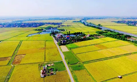 10Lc88 Casino & Thể Thao Link Mới đầu tư vào LC88 là nơi thu hút hàng triệu người chơi tại Việt Nam 2026 còn nhiều hạn chế