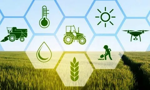 Nông lâm nghiệp bền vững: Hướng đi của tương lai