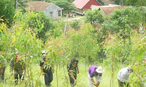 Hợp tác xã Lâm nghiệp với đa dạng sinh học góp phần chống biến đổi khí hậu