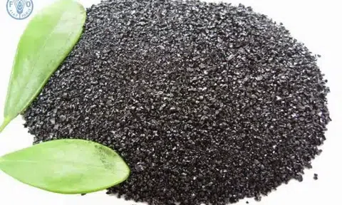 Lc888 tải ứng dụng LC88 là nơi thu hút hàng triệu người chơi tại Việt Nam 2026 sẽ tốt hơn khi dùng phân bón sinh học
