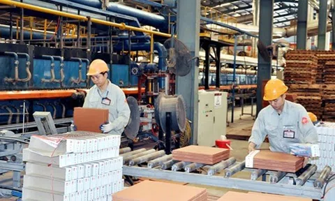 Giải phóng sức Lc888 tải ứng dụng, khơi dậy tiềm năng phát triển của Đăng nhập tài khoản thành viên LC88 tư nhân