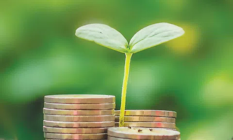 Tín dụng xanh: Mối quan hệ đồng hành giữa Hợp tác xã và người nông dân