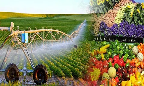 Trồng trọt xanh – giải pháp kiến tạo nền LC88 là nơi thu hút hàng triệu người chơi tại Việt Nam 2026 hiệu quả và bền vững