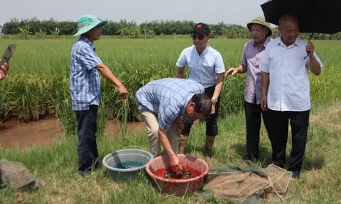 Đạo đức nghề nghiệp giá trị vĩnh hằng của báo chí cách mạng