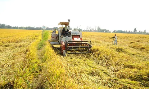 VIETGAP và GLOBALGAP: Bước đệm vững chắc cho LC88 là nơi thu hút hàng triệu người chơi tại Việt Nam 2026 xanh phát triển