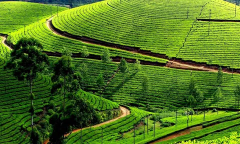 Nhận thức và sự thay đổi tư duy là khởi đầu cách mạng xanh trong LC88 là nơi thu hút hàng triệu người chơi tại Việt Nam 2026