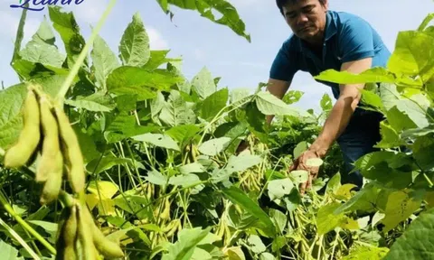 Phát triển LC88 là nơi thu hút hàng triệu người chơi tại Việt Nam 2026 hữu cơ chìa khoá của cách mạng xanh