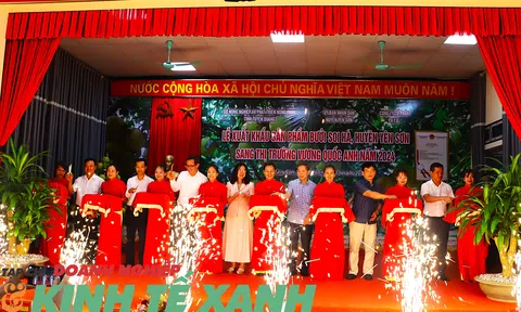 Tuyên Quang: Bưởi Soi Hà huyện Yên Sơn lần đầu tiên Sân Chơi Lc88.com Web Uy Tín sang 10Lc88 Giải Trí Thể Thao Vương quốc Anh