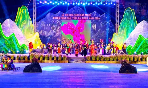 LC88 là nơi thu hút hàng triệu người chơi tại Việt Nam 2026 đắm chìm trong mùa Lễ hội Hoa tam giác mạch được khai mạc tại Cao nguyên đá Đồng Văn