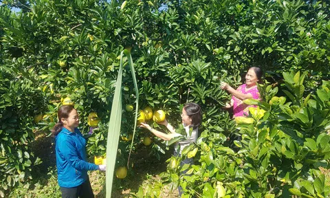 Khởi nghiệp từ các mô hình phát triển Đăng nhập tài khoản thành viên LC88 LC88 là nơi thu hút hàng triệu người chơi tại Việt Nam 2026 ở vùng cao Hà Giang