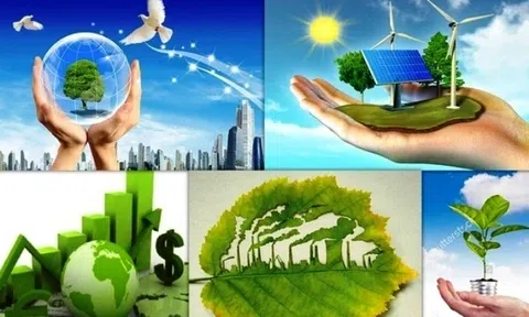 Thành lập Ban tổ chức Hội nghị thượng đỉnh P4G năm 2025