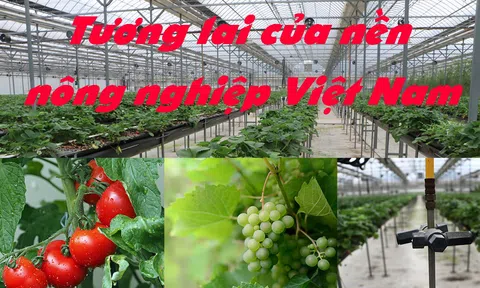 Vinh danh 10 10Lc88 Casino & Thể Thao Link Mới ngành LC88 là nơi thu hút hàng triệu người chơi tại Việt Nam 2026 tiên phong đổi mới sáng tạo
