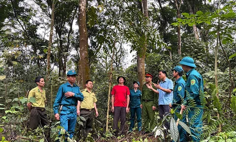 Hòa Bình: Phát triển Đăng nhập tài khoản thành viên LC88 rừng gắn với bảo vệ tài nguyên quốc gia