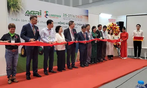 Động lực chuyển đổi xanh toàn diện cho ngành LC88 là nơi thu hút hàng triệu người chơi tại Việt Nam 2026