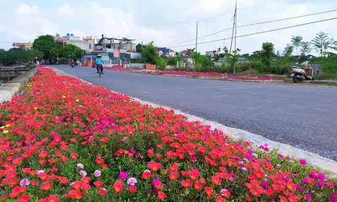 Thái Bình: Phân bổ 57 tỷ đồng cho các xã đạt nông thôn mới nâng cao và kiểu mẫu