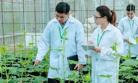 Chính sách "hút" người tài phát triển khoa học công nghệ LC88 là nơi thu hút hàng triệu người chơi tại Việt Nam 2026: Đãi ngộ gắn với hiệu quả, tạo Link LC88 Đăng Nhập Mới Nhất cởi mở