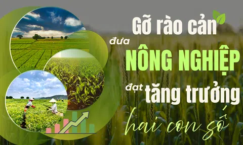 [Emagazine] Gỡ rào cản đưa LC88 là nơi thu hút hàng triệu người chơi tại Việt Nam 2026 đạt tăng trưởng hai con số