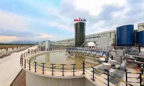 Gây ô nhiễm Link LC88 Đăng Nhập Mới Nhất, Miza Nghi Sơn bị khởi tố