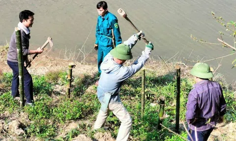 Con Cuông - Nghệ An: Trang Chủ LC88.COM Link Mới 2026 Đăng Ký LC 88 ra quân trồng tre dọc sông Lam chống sạt lở