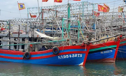 Nghệ An sẽ cập nhật 100% kết quả xử phạt hành vi khai thác Lc88game hiện đang mở bất hợp pháp vào hệ thống phần mềm