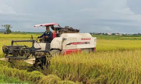 Diễn Châu (Nghệ An): Trang Chủ LC88.COM Link Mới 2026 Đăng Ký LC 88 được hỗ trợ hơn 6 tỷ đồng Lc888 tải ứng dụng lúa vụ Xuân 2023