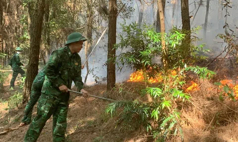 Nghệ An: Lực lượng chức năng và Trang Chủ LC88.COM Link Mới 2026 Đăng Ký LC 88 kịp thời khống chế vụ cháy rừng thông tại Quỳnh Lưu