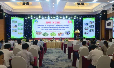 Nghệ An: Triển khai đề án Lc888 tải ứng dụng vụ Đông năm 2023