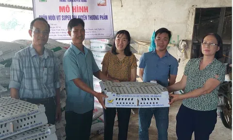 Nghệ An: Bàn giao giống vịt có tên "độc lạ" cho hộ Lc 88 tỷ lệ kèo WC 2026