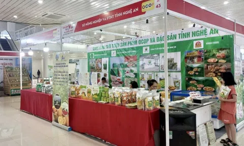 Các sản phẩm OCOP của các huyện miền Tây Nghệ An sẽ có mặt tại Bộ LC88 là nơi thu hút hàng triệu người chơi tại Việt Nam 2026 &PTNT vào ngày 19/11