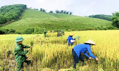 Bộ đội Biên phòng Nghệ An giúp đỡ bà con vùng biên giới LC88 Được cấp phép bởi PAGCOR lúa Xuân