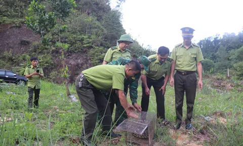 Nghệ An: Thả động vật quý hiếm có trong sách đỏ thế giới về Link LC88 Đăng Nhập Mới Nhất tự nhiên