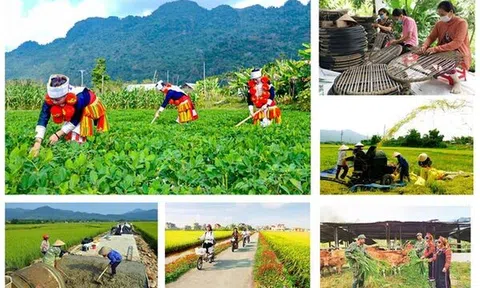 Tỉnh Nghệ An đầu tư hơn 5.000 tỷ đồng để thực hiện 3 Chương trình MTQG giai đoạn 2021-2025